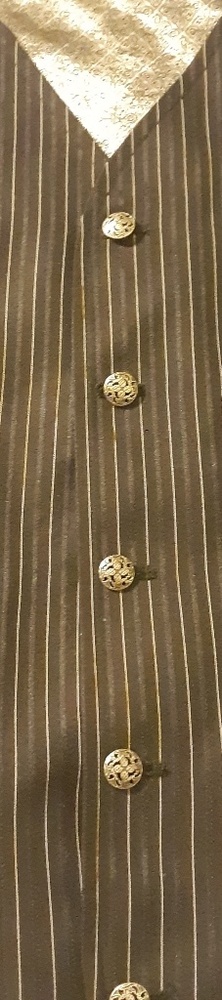 Suit/dress vest